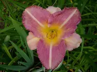 k-DSCI3733.webp