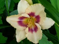 k-DSCI3738.webp