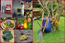 Herbst19.webp