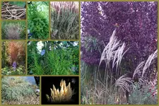 Herbst29.webp