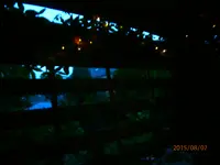P8071050.webp