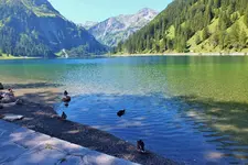 DSCF2555 (2).webp