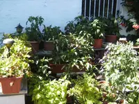 BILD4412.webp