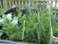 BILD4320.webp