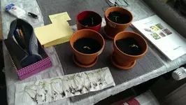 IMAG0584.webp
