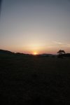 Morgensonne (2).jpg