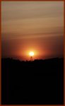 Morgensonne (1).jpg