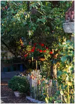 Garten.jpg