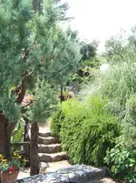 100_6330.webp
