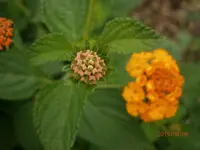 P8081070.webp