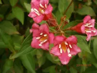 P8081071.webp