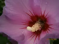 P8081081.webp