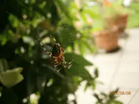 P8081091.webp