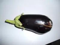 2015-08-08 Aubergine2_1.webp