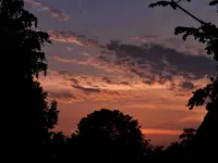 DSCN8391.webp