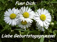 GEBURTSTAGSGRUESSE FUER DICH.webp