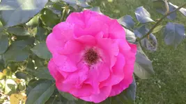 20150809_105034.webp 20150809_105034.webp