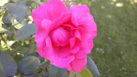 20150809_105045.webp 20150809_105045.webp