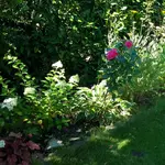 20150809_104051-1.webp