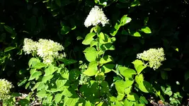 20150809_104153.jpg