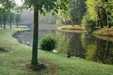 IMG_9289.webp