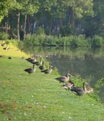 IMG_9295.webp