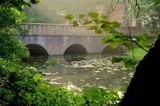 IMG_9266-002.webp