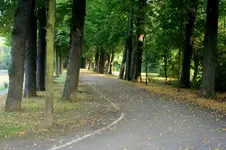 IMG_9312.webp