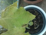 WP_002068.jpg