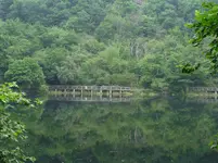 P1190376.webp