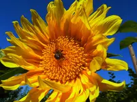 014.webp