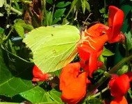 018_2.webp
