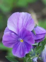 100_6902.webp