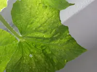 20150809_181703.webp