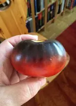 Indigo Apple.webp