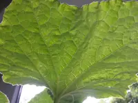 20150809_181539.webp