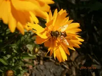 P8091102.webp