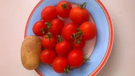WP_20150809_001.webp