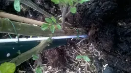 WP_20150809_004.jpg