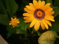 P8091116.webp
