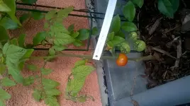 WP_20150809_006.jpg