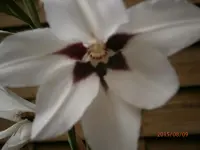 P8091117.webp