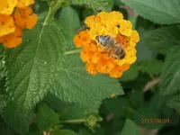 P8091119.webp