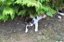 DSC_9550.webp