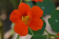 DSC_9177.webp
