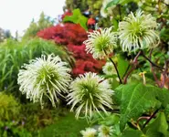 DSCF2532 (3).webp