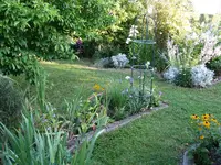 IMG_4381.webp