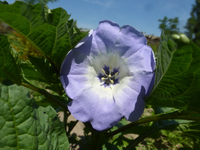 P1440017.webp