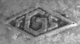 FGS 1.webp