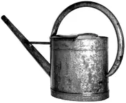 FGS 1 3.jpg